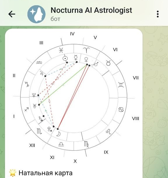 Крупный пример натальной карты Nocturna